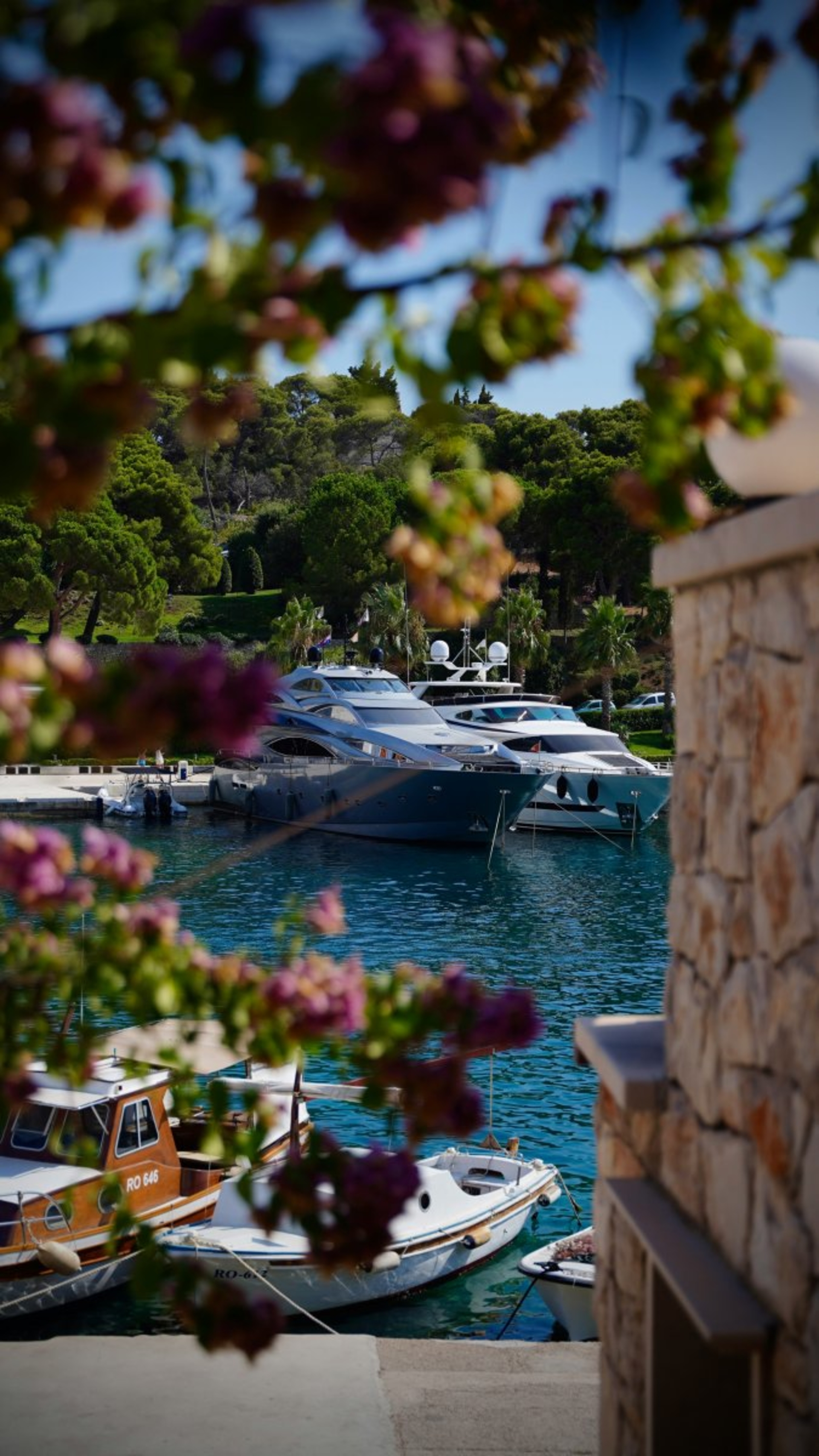 Rogač